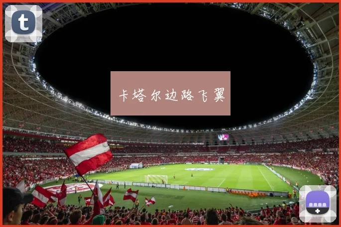 卡塔尔边路飞翼
