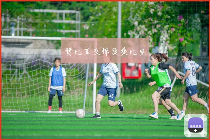 赞比亚交锋莫桑比克