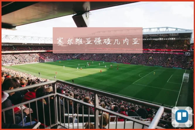 塞尔维亚强碰几内亚