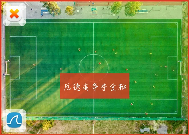 厄德高争夺金靴