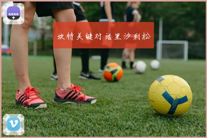坎特关键对话里沙利松