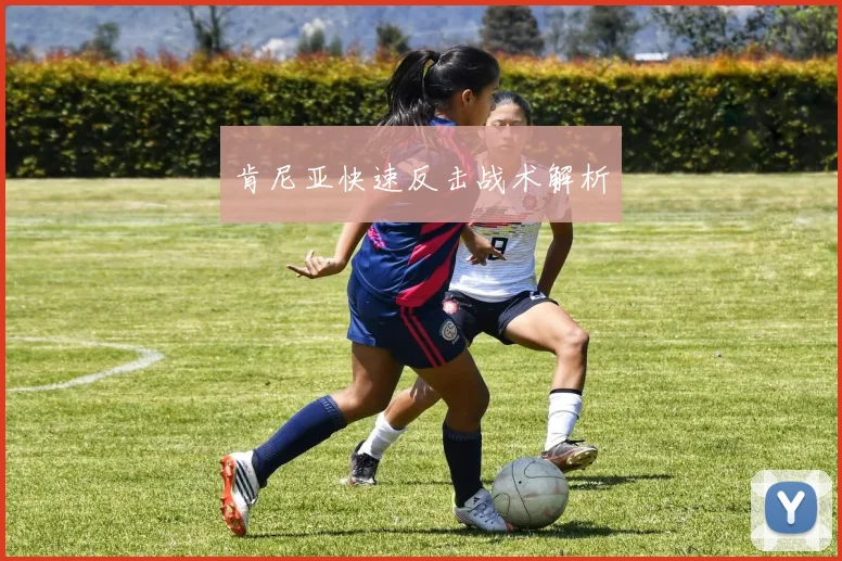 肯尼亚快速反击战术解析