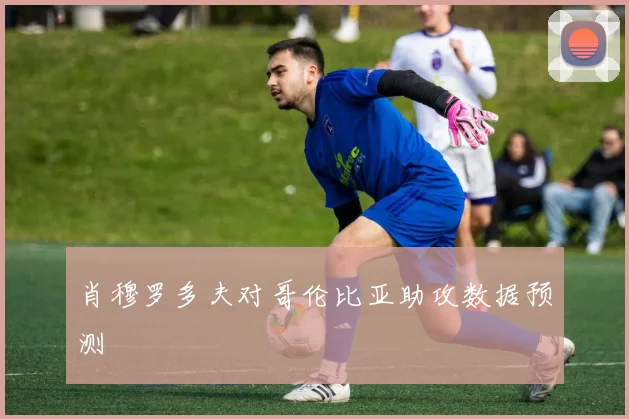 肖穆罗多夫对哥伦比亚助攻数据预测