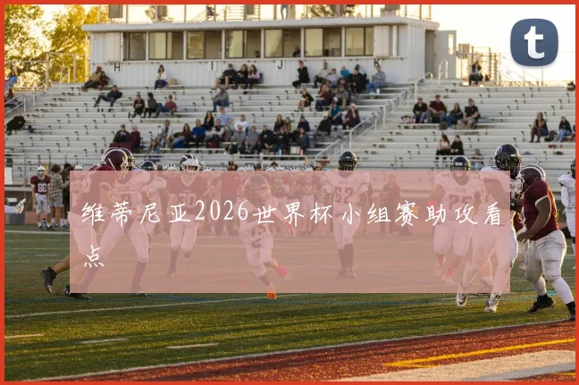维蒂尼亚2026世界杯小组赛助攻看点