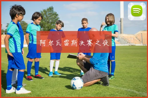 阿尔瓦雷斯决赛之夜