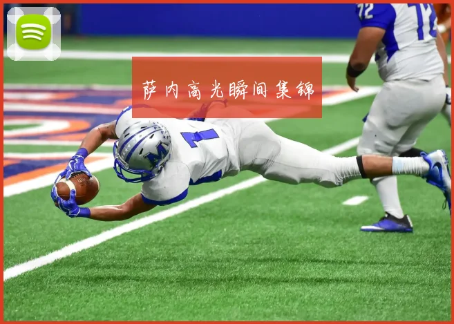 萨内高光瞬间集锦