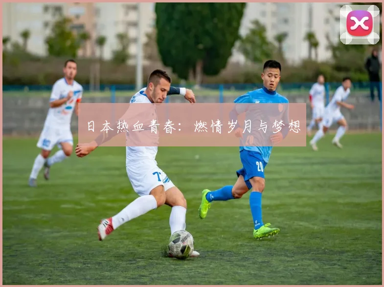 日本热血青春：燃情岁月与梦想
