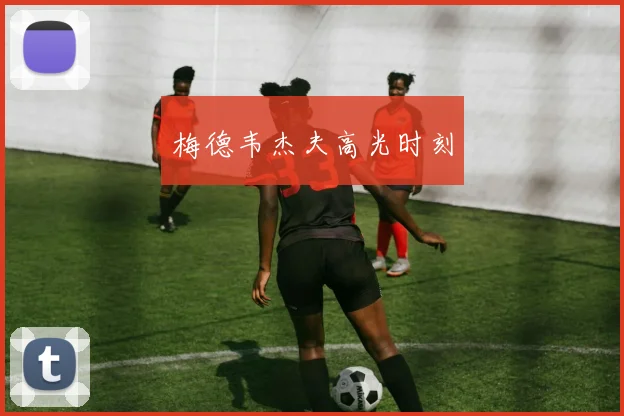 梅德韦杰夫高光时刻