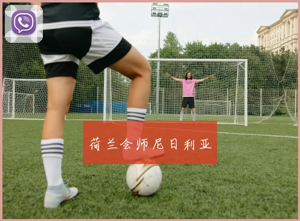 荷兰会师尼日利亚