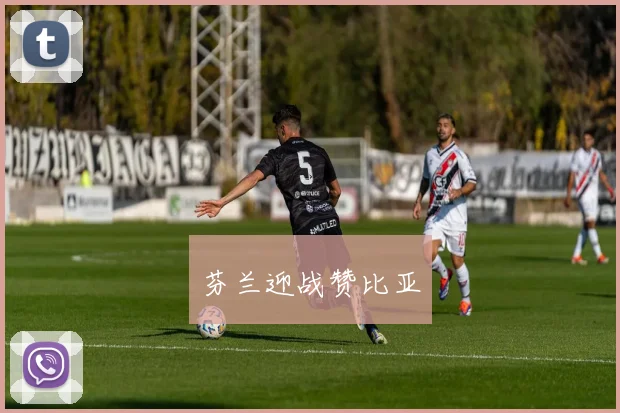 芬兰迎战赞比亚