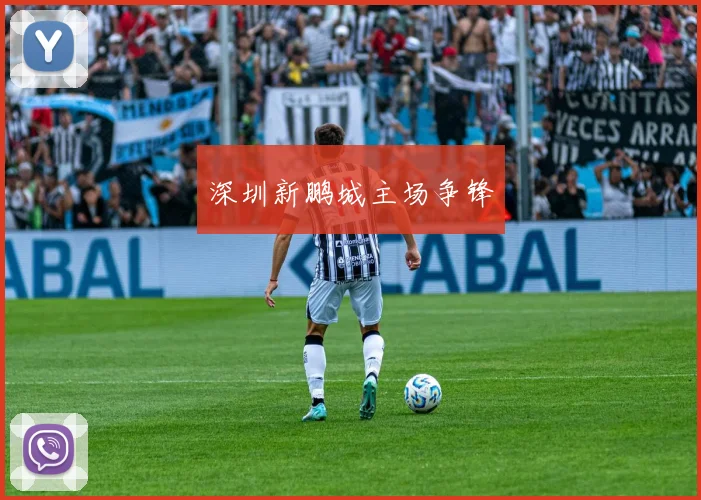 深圳新鹏城主场争锋