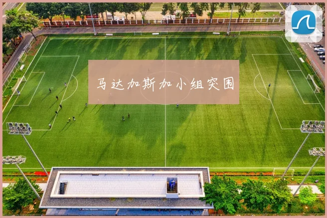 马达加斯加小组突围