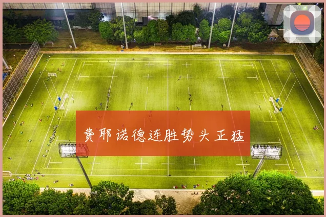 费耶诺德连胜势头正猛