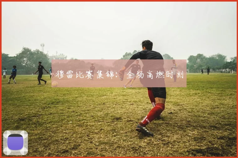 穆雷比赛集锦：全场高燃时刻