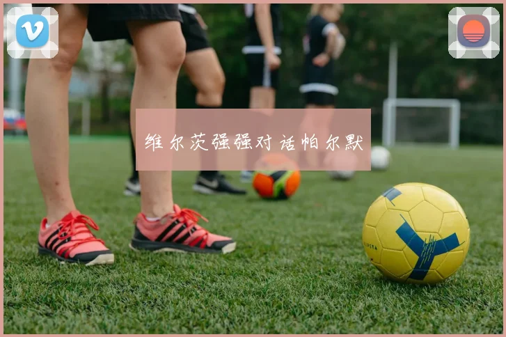 维尔茨强强对话帕尔默