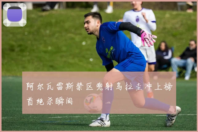 阿尔瓦雷斯禁区兜射乌拉圭冲上榜首绝杀瞬间
