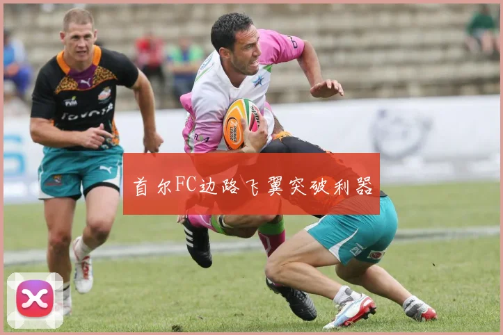 首尔FC边路飞翼突破利器