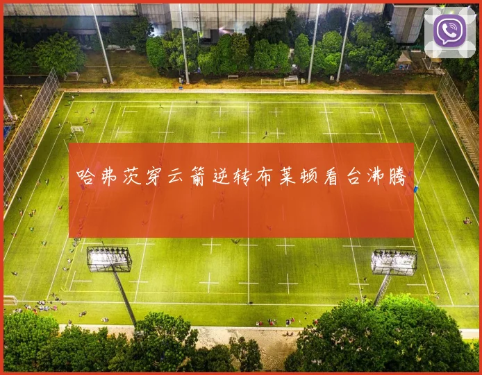 哈弗茨穿云箭逆转布莱顿看台沸腾