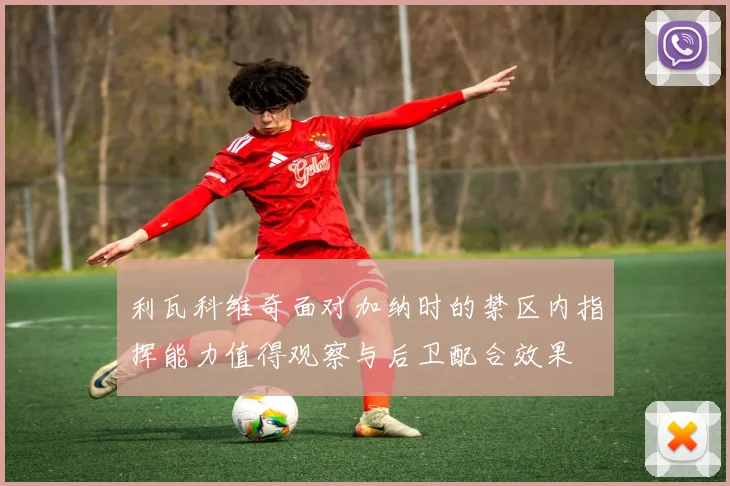 利瓦科维奇面对加纳时的禁区内指挥能力值得观察与后卫配合效果