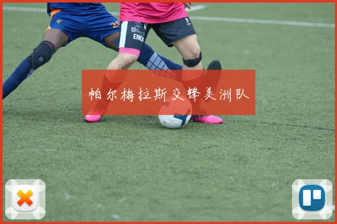 帕尔梅拉斯交锋美洲队
