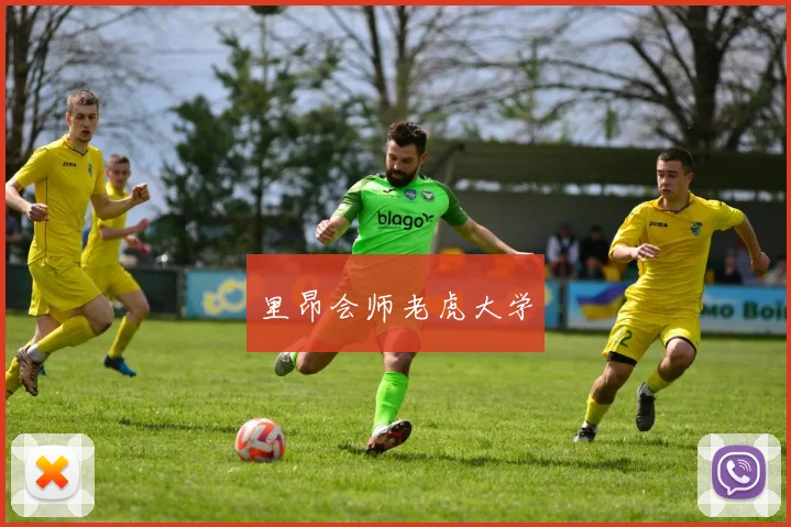 里昂会师老虎大学