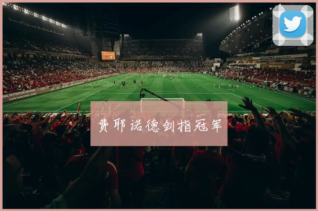 费耶诺德剑指冠军