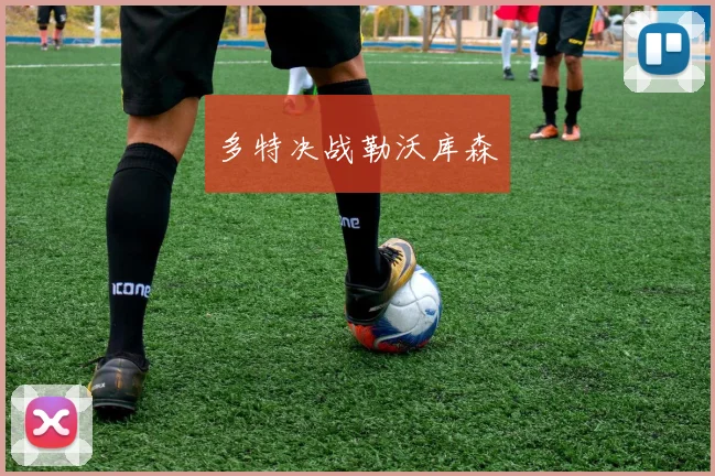 多特决战勒沃库森