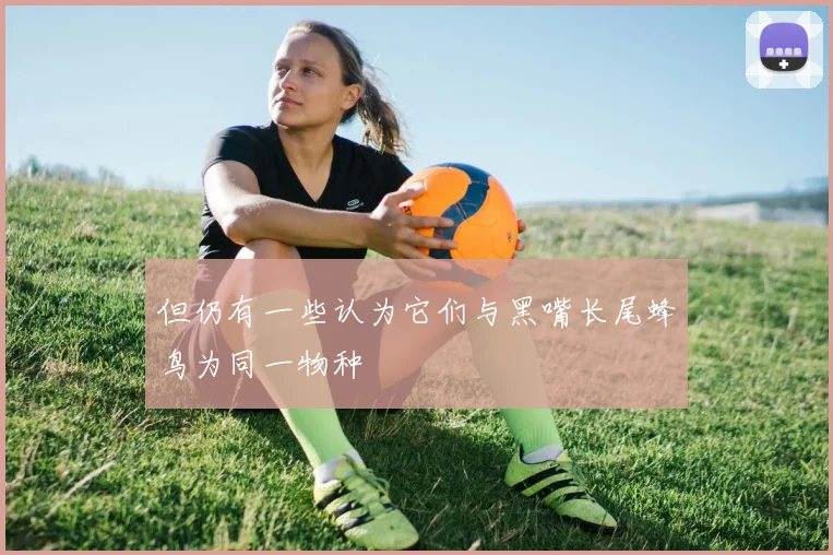但仍有一些认为它们与黑嘴长尾蜂鸟为同一物种