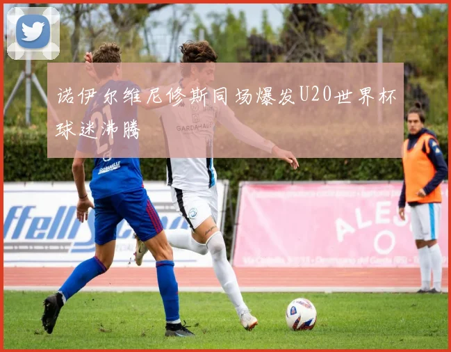 诺伊尔维尼修斯同场爆发U20世界杯球迷沸腾