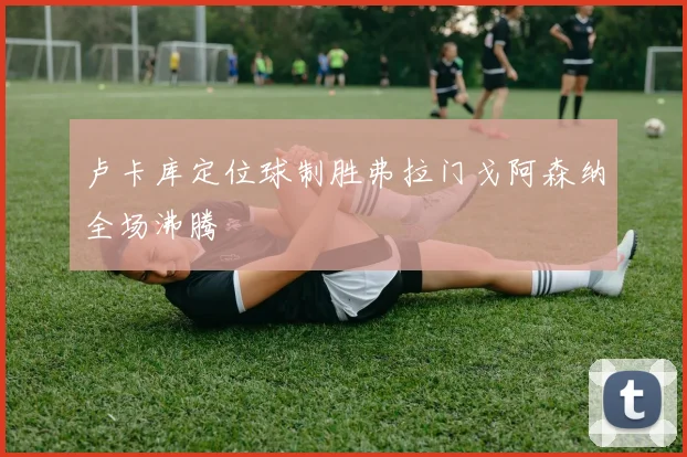 卢卡库定位球制胜弗拉门戈阿森纳全场沸腾