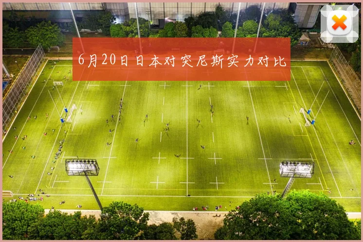 6月20日日本对突尼斯实力对比