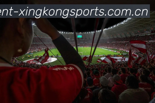 关于XingkongSports