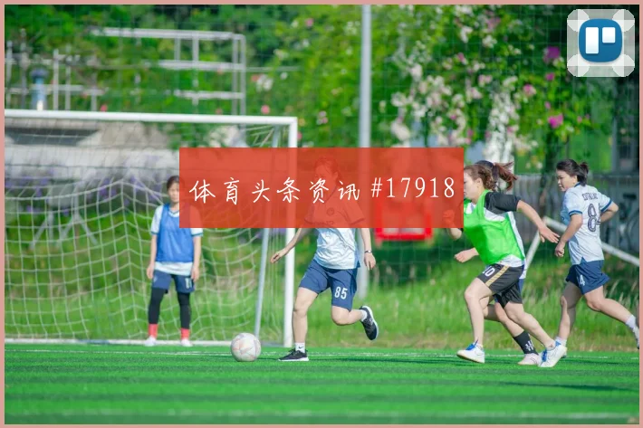 伊朗队塔雷米对阵埃及禁区跑位是否聪明盘口观察